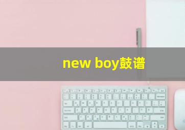 new boy鼓谱